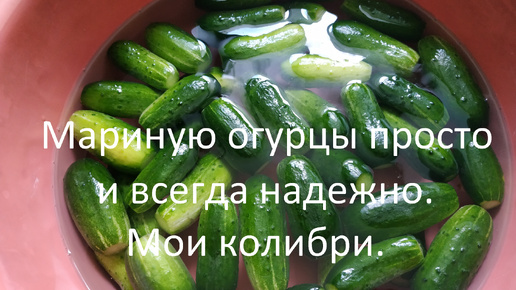 Мариную огурцы просто и всегда надежно // Мои колибри.