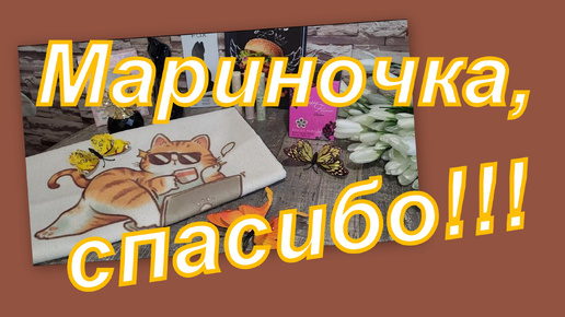 Download Video: ВЛОГ: МИМИШНЫЕ ПОДАРКИ ОТ МАРИНЫ, СПАСИБО ОГРОМНОЕ!!!