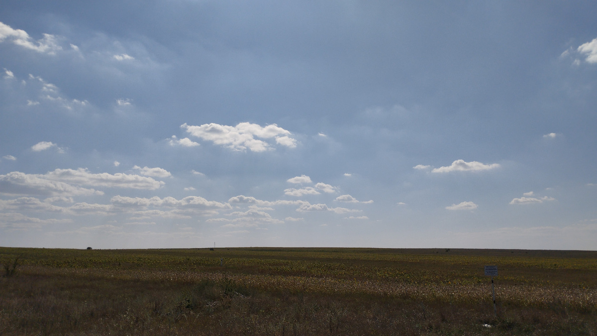 Волгоградские степи 