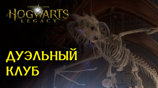 Дуэльный Клуб - Прохождение Hogwarts Legacy - Часть: 3