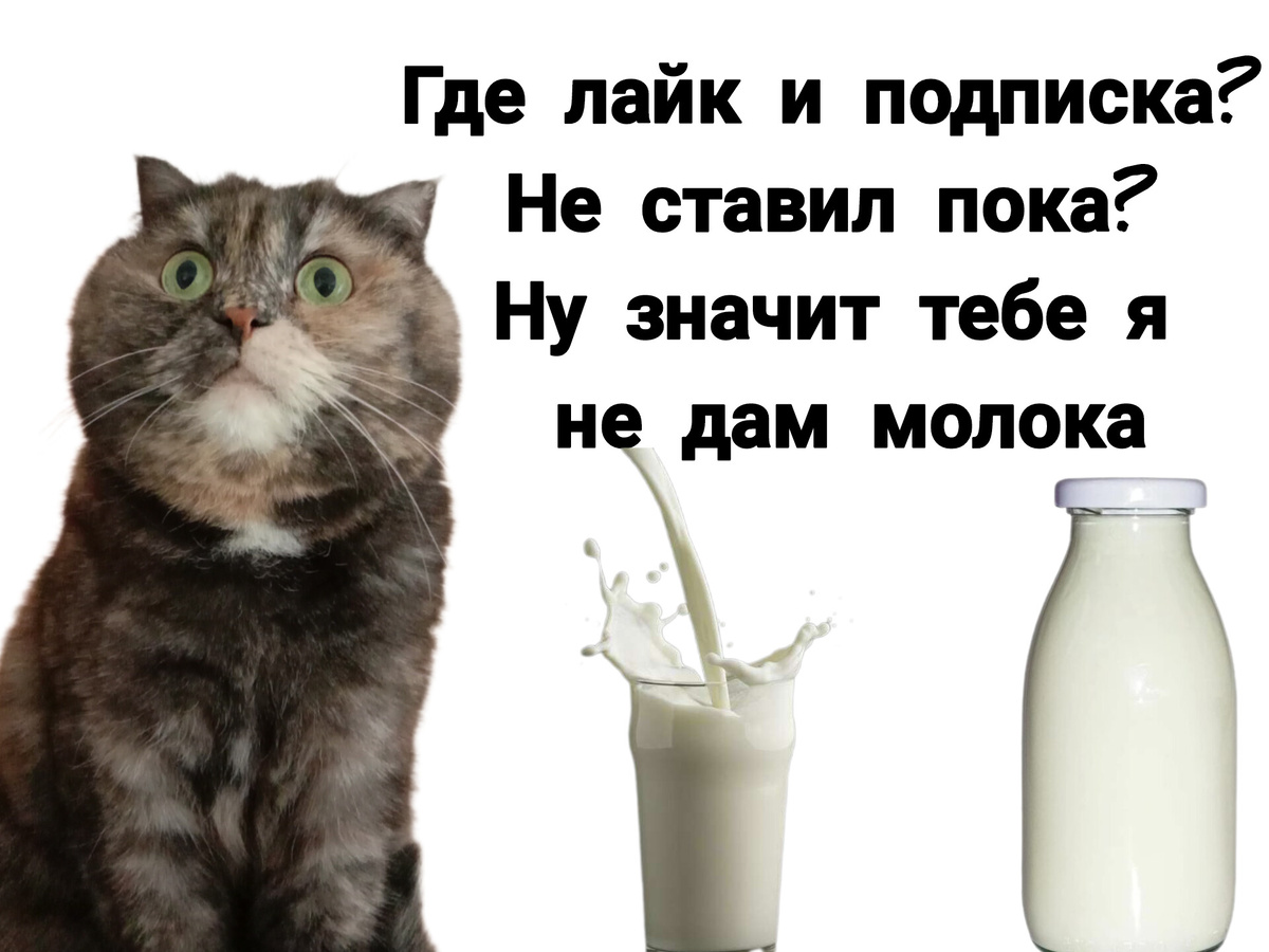 -4