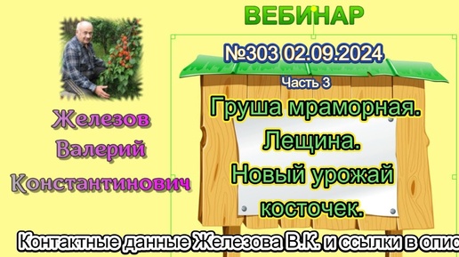 Железов Валерий.  Вебинар 303.  ч. 3.   Груша мраморная.  Лещина.  Новый урожай косточек.