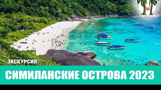 Симиланы Черепаха на Симиланских островах. _ Similan Islands Tour