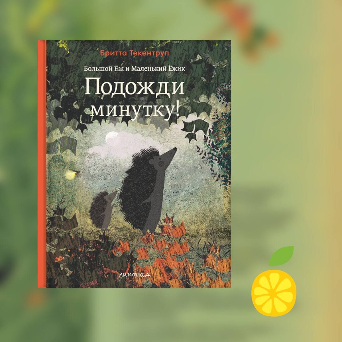 Бритта Текентруп. Большой ёж и маленький ёжик. Подожди минутку! (Лимонад, 2024). Перевод с немецкого.