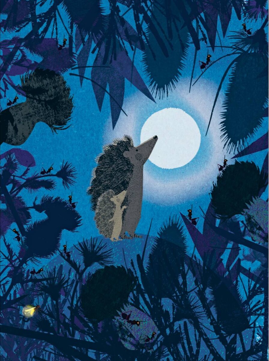 Бритта Текентруп. Большой ёж и маленький ёжик. Подожди минутку! (Лимонад, 2024). Перевод с немецкого.