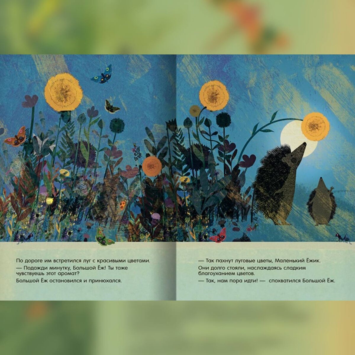 Бритта Текентруп. Большой ёж и маленький ёжик. Подожди минутку! (Лимонад, 2024). Перевод с немецкого.