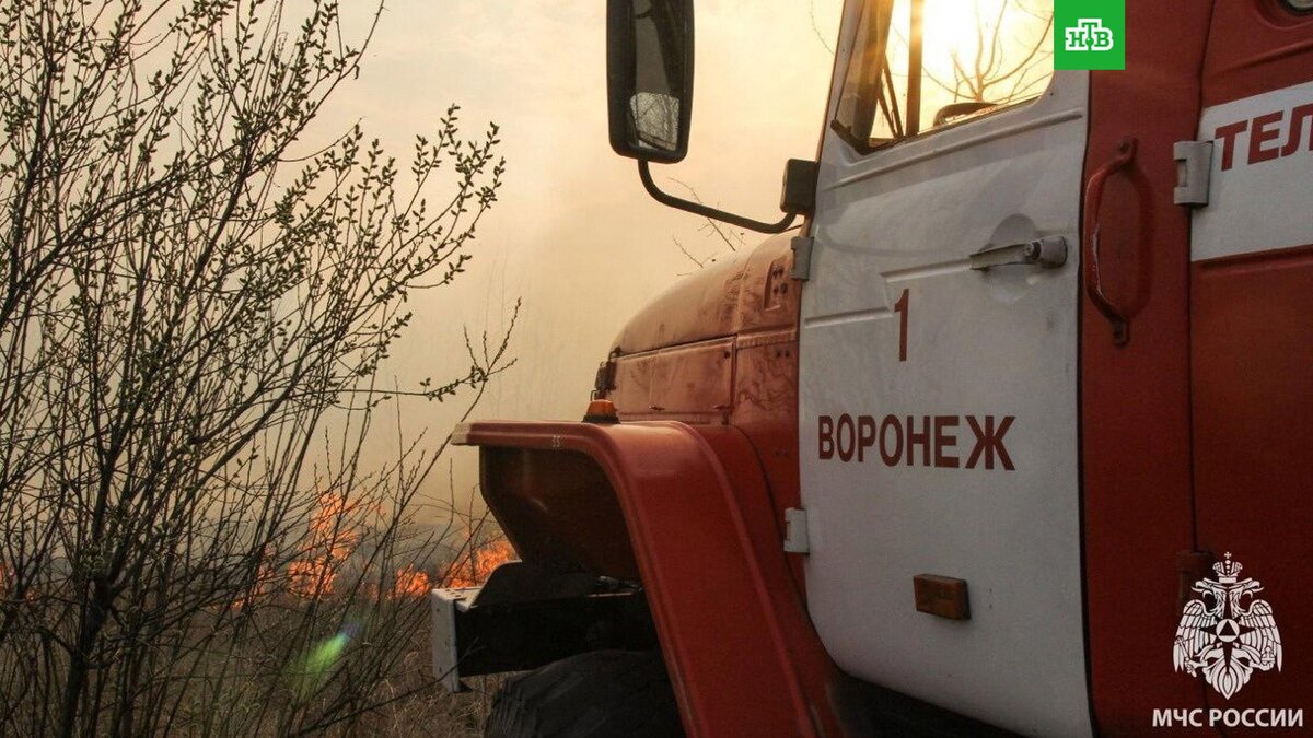    Фото: mchs36 / t.me