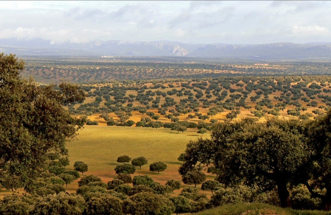 Автономное сообщество Эстремадура на юго-западе Испании. Материал: Lovelyspain.ru