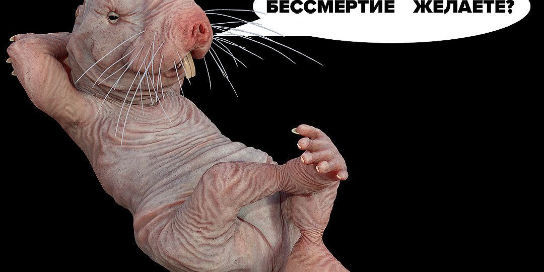 Супермен без трусов, который владеет секретом бессмертия