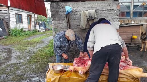 Отпуск в Кузбассе. Слабонервным и мнительным до конца не смотреть.