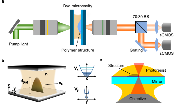a, Экспериментальная установка для микрополостей, заполненных красителем. Фотонный газ создается путем накачки внутриполостного раствора красителя лазерным лучом, пространственно сформированным с помощью пространственного модулятора света (SLM), и фокусируется в микрополость с помощью объектива 10x. Полость состоит из двух плоских зеркал, на одно из которых нанесена полимерная структура, обеспечивающая потенциал для фотонов. Излучение полости считывается с помощью объектива для визуализации и затем анализируется пространственно или спектрально. b. Полимерная структура (показатель преломления ns), окруженная раствором красителя (показатель преломления n), создает потенциал для фотонного газа в ловушке. c. Схема прямой лазерной записи, использующая сфокусированный лазерный луч для полимеризации фоторезиста на поверхности зеркала.Автор: Kirankumar Karkihalli Umesh, Julian Schulz, Julian Schmitt, Martin Weitz, Georg von Freymann, Frank Vewinger; arXiv:2311.10485 [cond-mat.quant-gas]; CC-BY 4.0 Источник: arxiv.org
