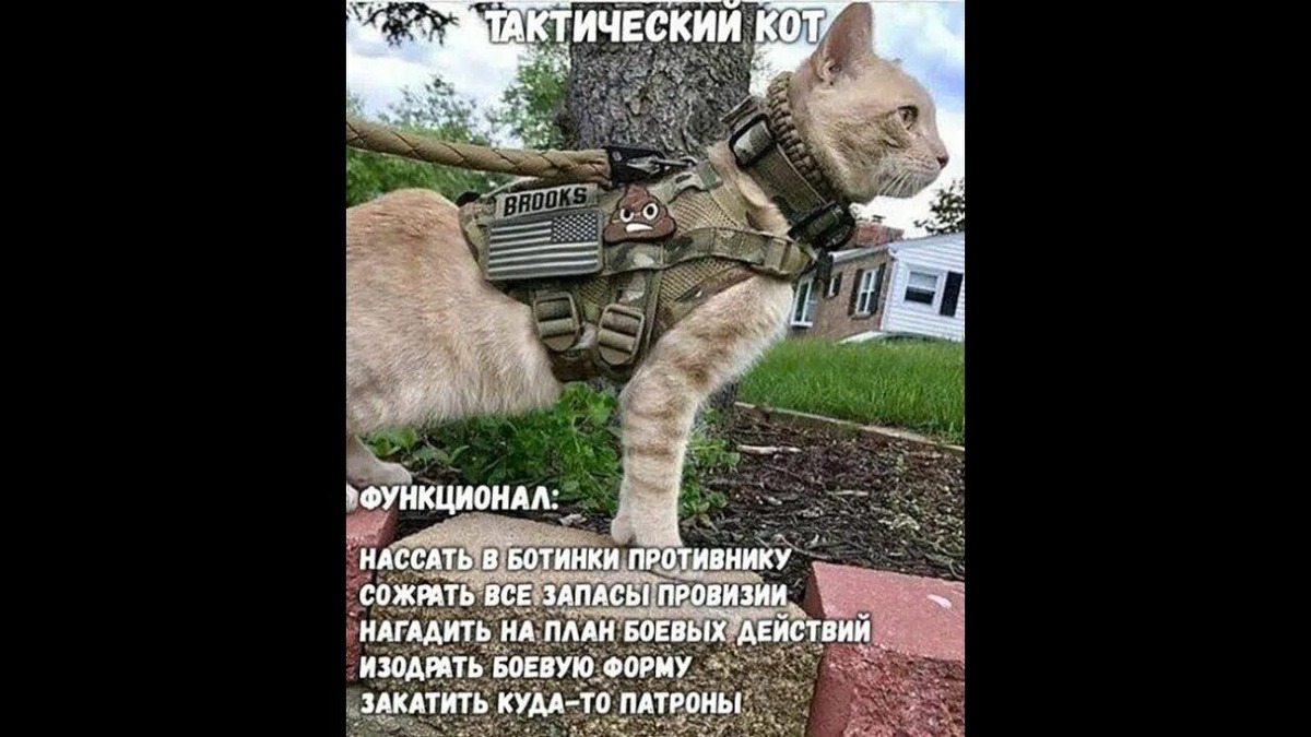 источник Яндекс-картинки