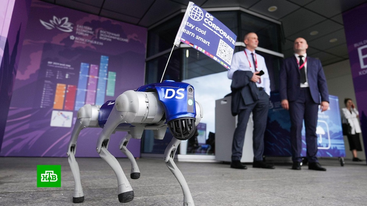    Рекордные соглашения и глобальные планы: итоги Восточного экономического форума