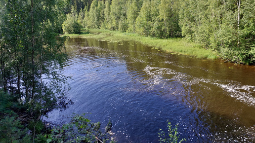 Она с такой любовью пела о Карелии, я с ней согласна.