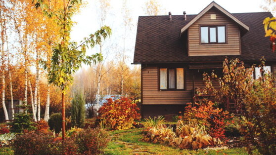    Осенний уход за дачей: проверка и ремонт ключевых элементов участка перед зимой Богдан Герцен