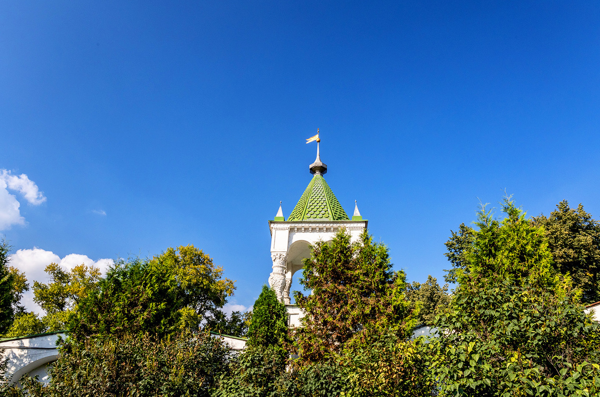    Светлана Парфенова