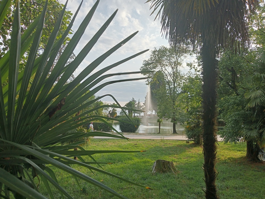 Фотогалерея, снимки сделаны автором в июле-2024. Это Гагра