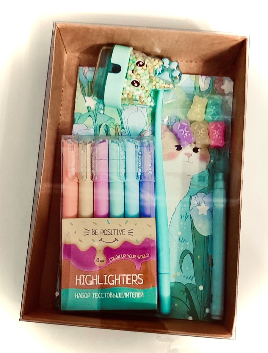 Внешний вид канцелярского набора «Mint cat”