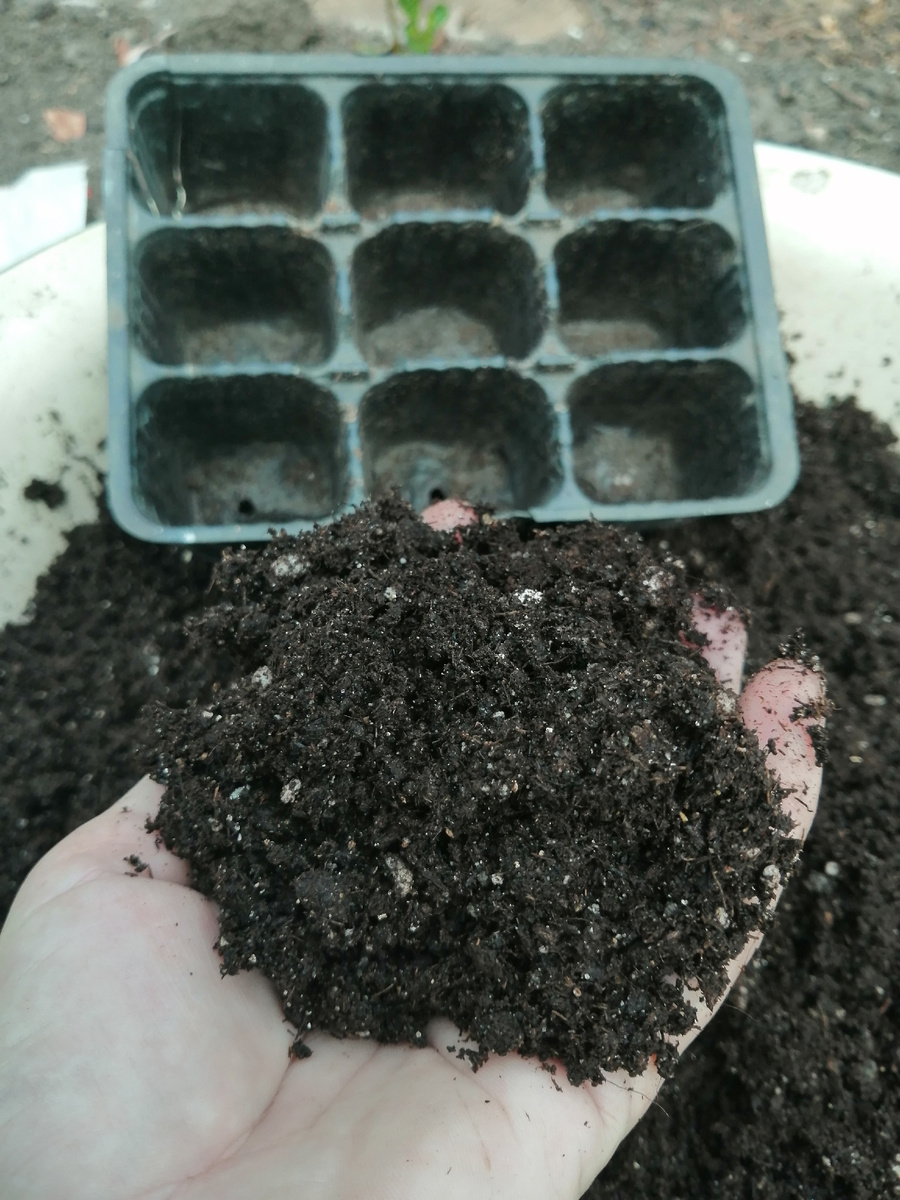 Кассеты 9-ки, торф с песком и перлитом