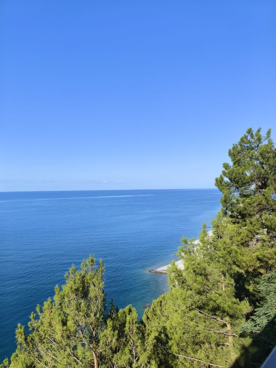 Вид со смотровой площадки у въезда в Гагру