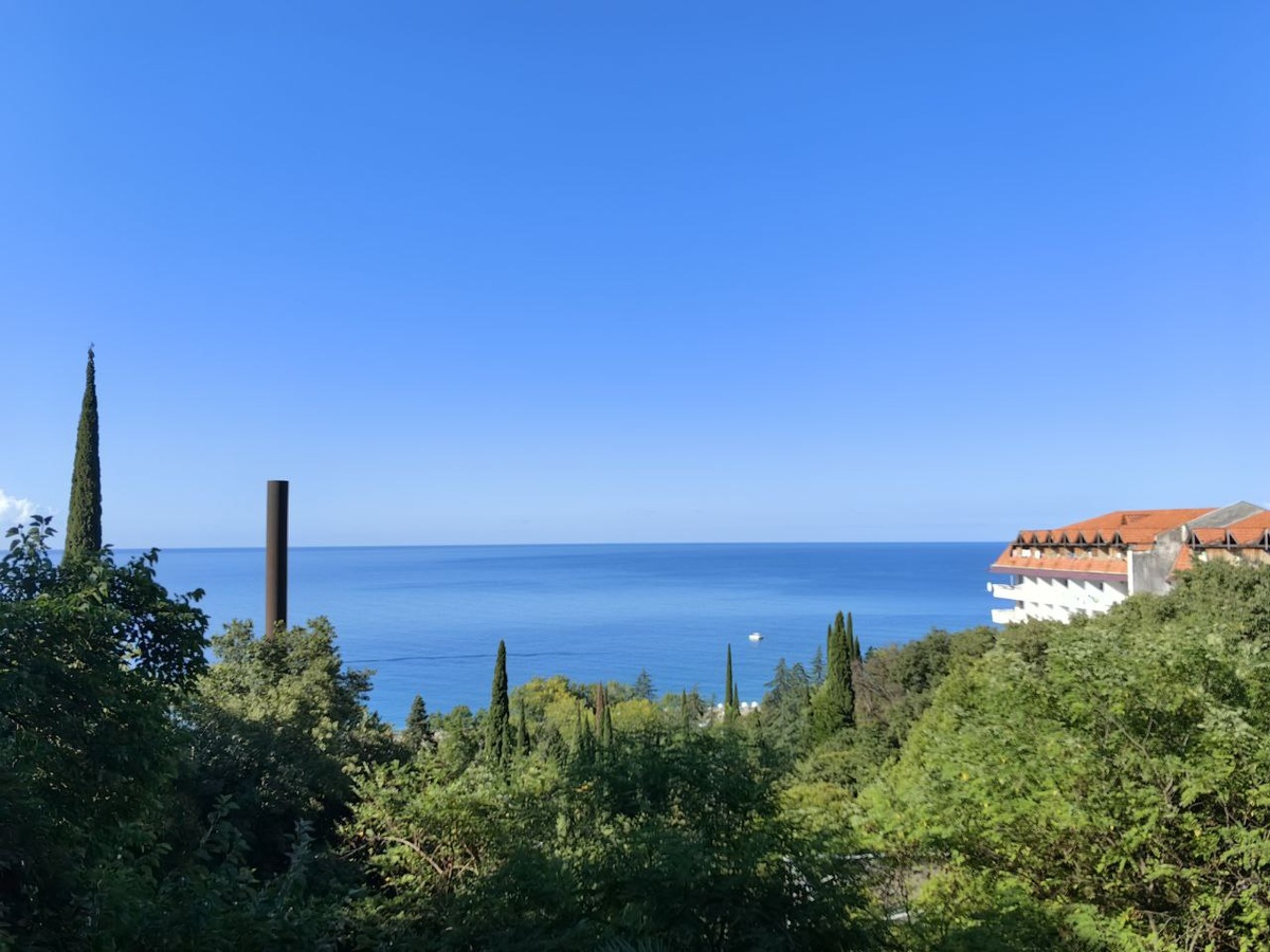 Вид с балкона одной из заброшек Гагры – понимаешь, почему богатые люди строили себе здесь дома и дворцы