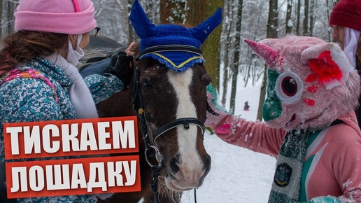 Тискаем лошадку. ФУРРИ встреча в МОСКВЕ