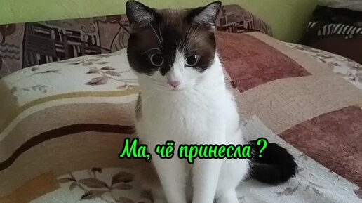 Субботняя распаковка 😸