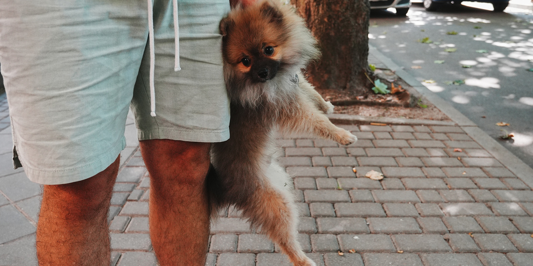 Сходил на арт-базар и блошиный рынок на Телеграфе Светлогорска