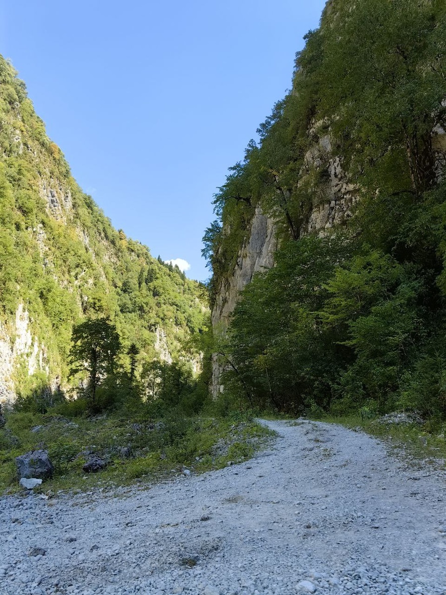 Дорога на Рицу потрясла красивыми пейзажами. Снять из машины их было почти нереально, но я попробовала