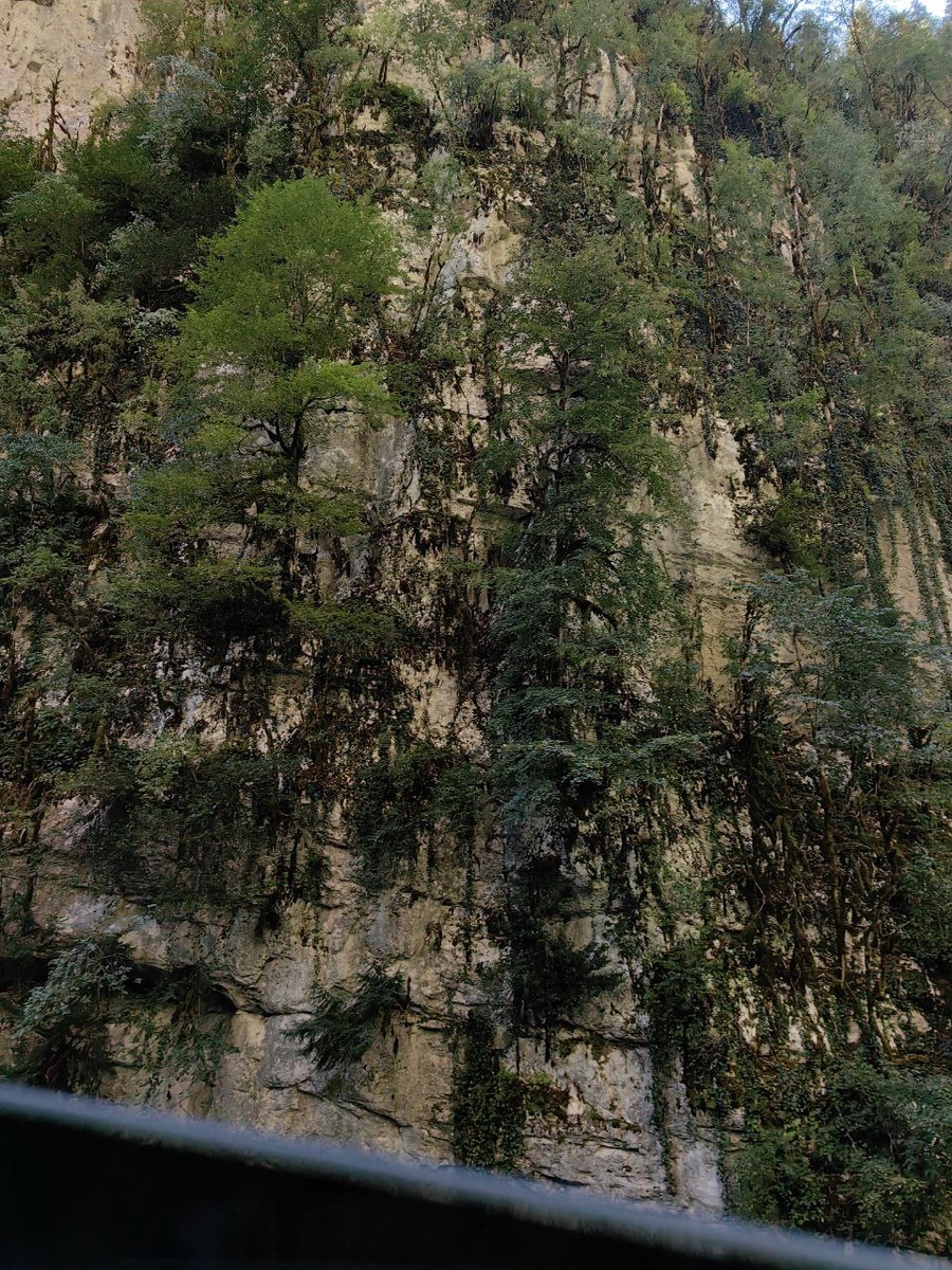 Дорога на Рицу потрясла красивыми пейзажами. Снять из машины их было почти нереально, но я попробовала