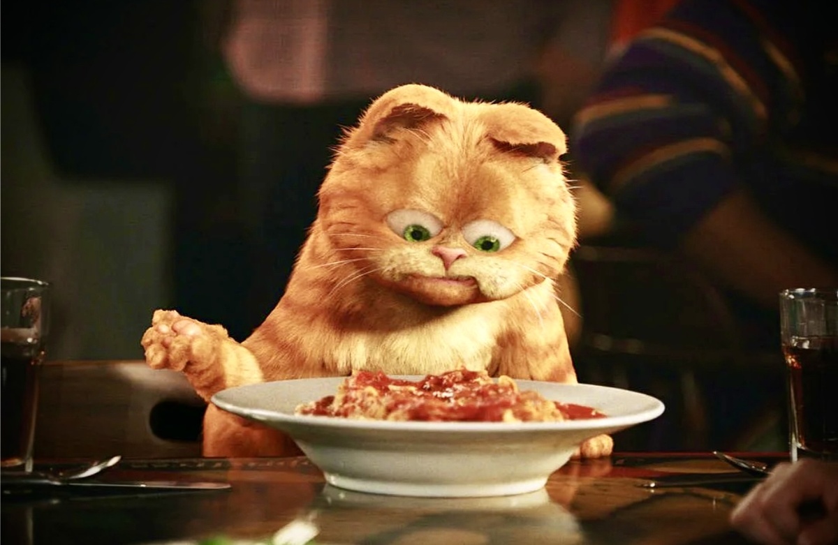 Фото взято с Яндекса.