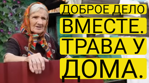 Доброе Дело Вместе. ТРАВА У ДОМА!