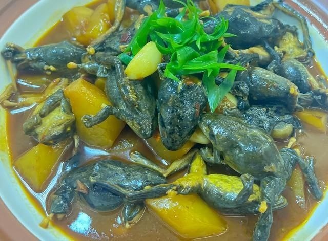 Тушеная древесная лягушка