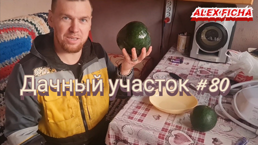 Дачный участок с нуля #80 Вырастили арбуз 🍉 на севере.