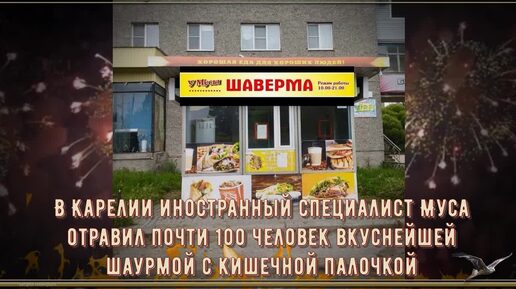 В Карелии иностранный специалист Муса отравил почти 100 человек вкуснейшей шаурмой с кишечной палочкой