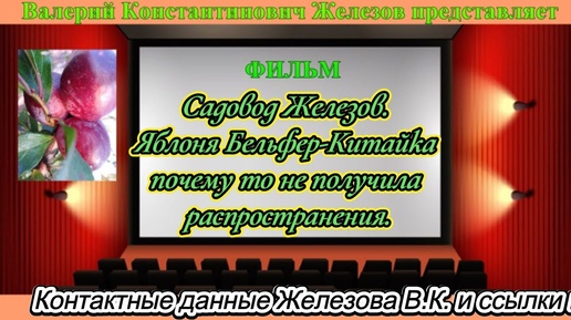 Садовод Железов.  Яблоня Бельфер Китайка почему то не получила распространения.