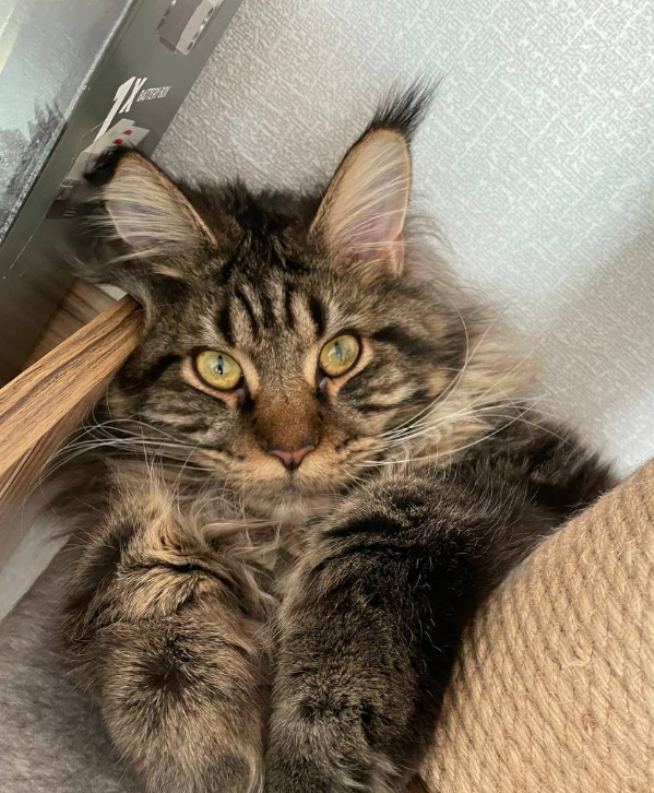 Фото из личного архива. Наш выпускник Дамаск