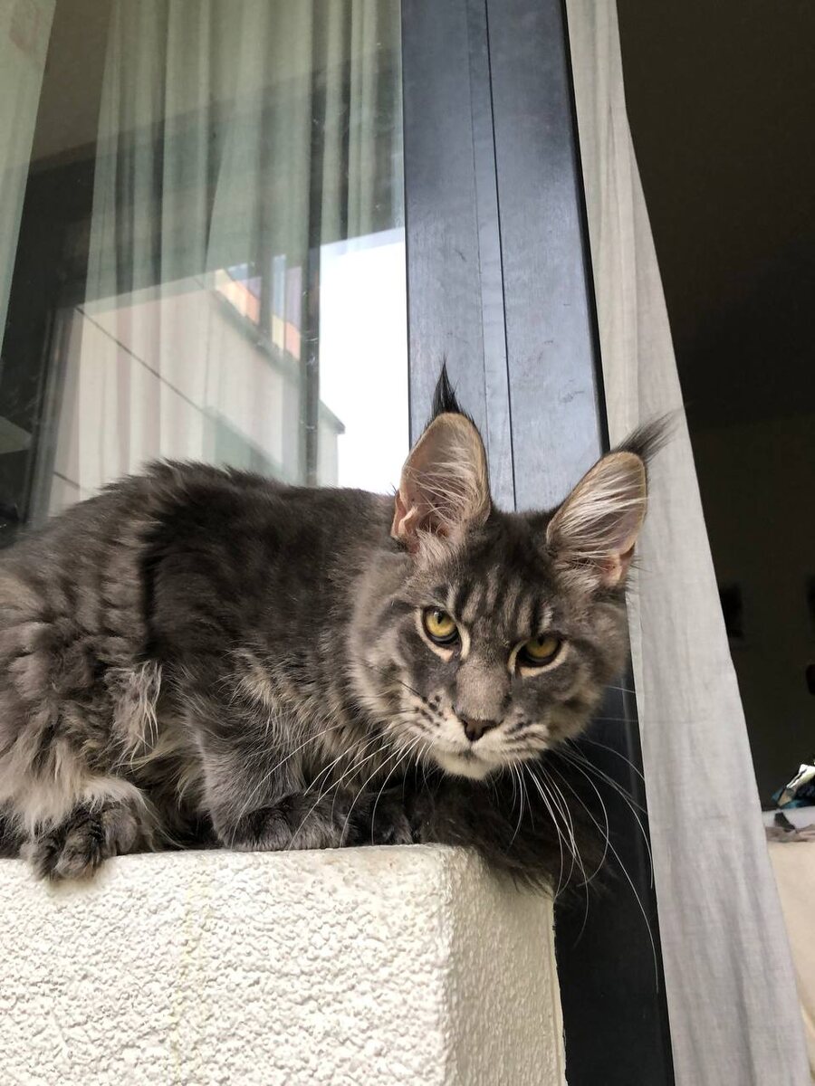 Фото из личного архива.