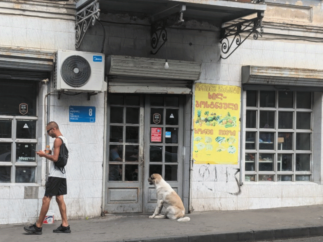 Тбилиси центр города. Фото из личного архива 