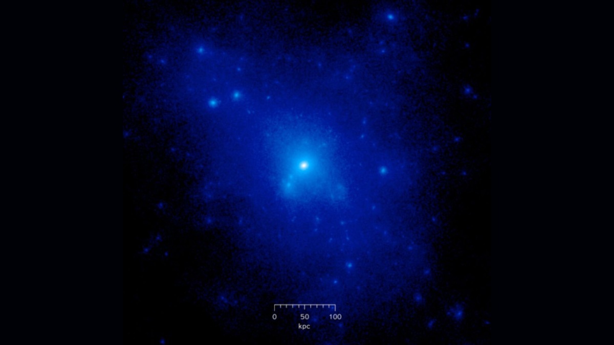 Гало тёмной материи из космологической симуляции N-тел. Источник: Cosmo0 / Wikimedia Commons  📷

