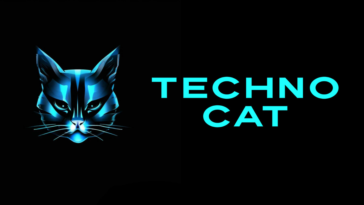 TECHNO CAT MUSIC BLOG