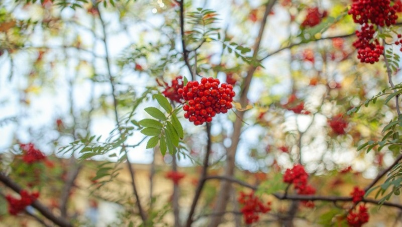 Фото: @anatoliifoto / freepik.com