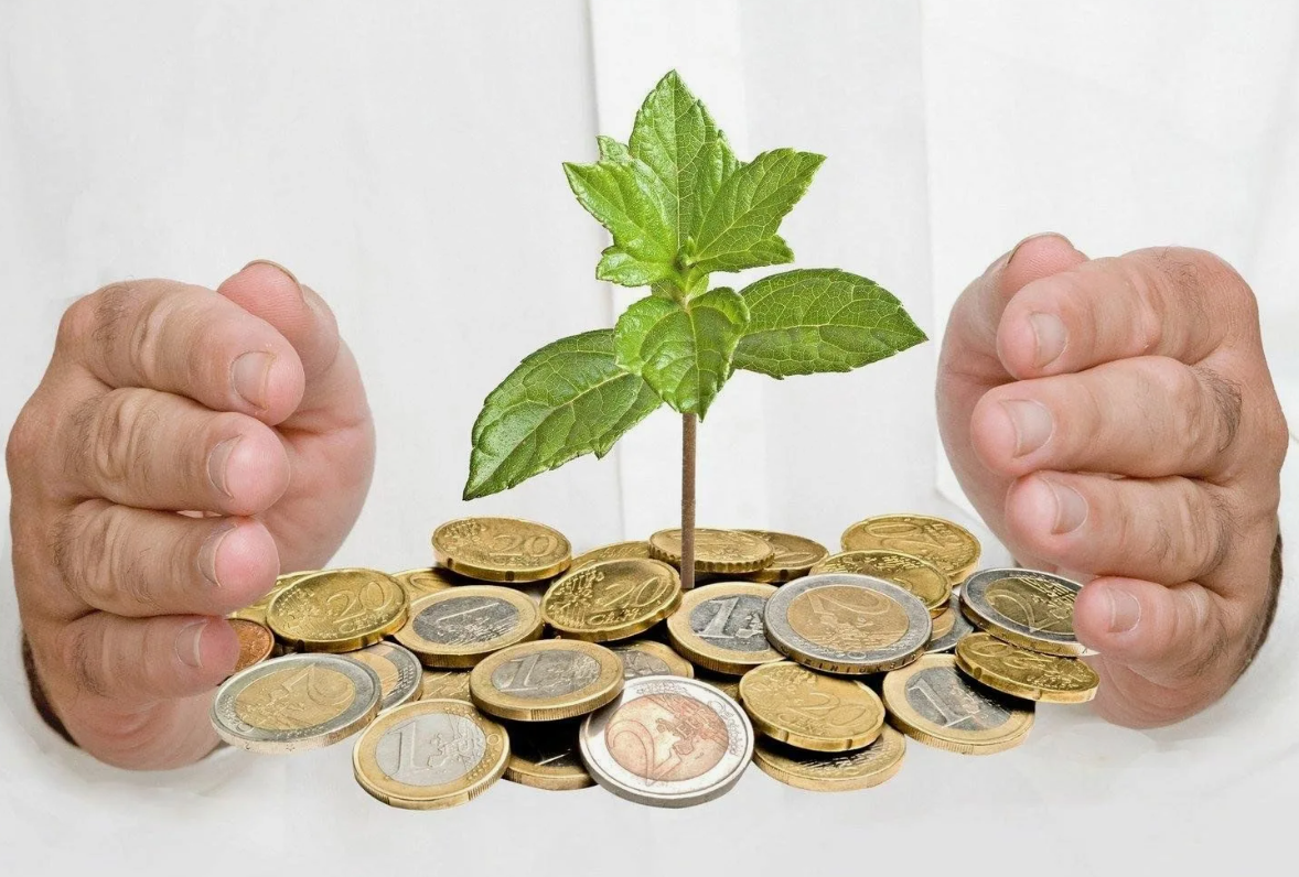 фото из открытого источника