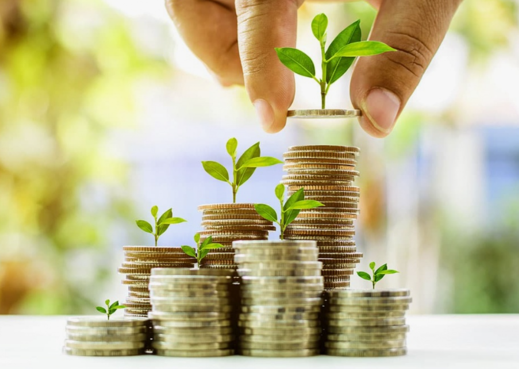 фото из открытого источника