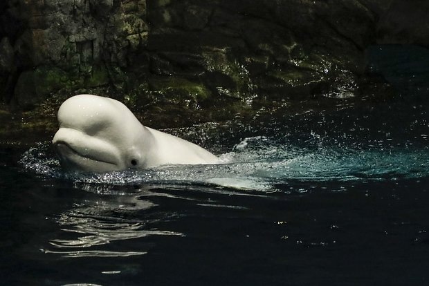 Фото: Xinhua / Global Look Press