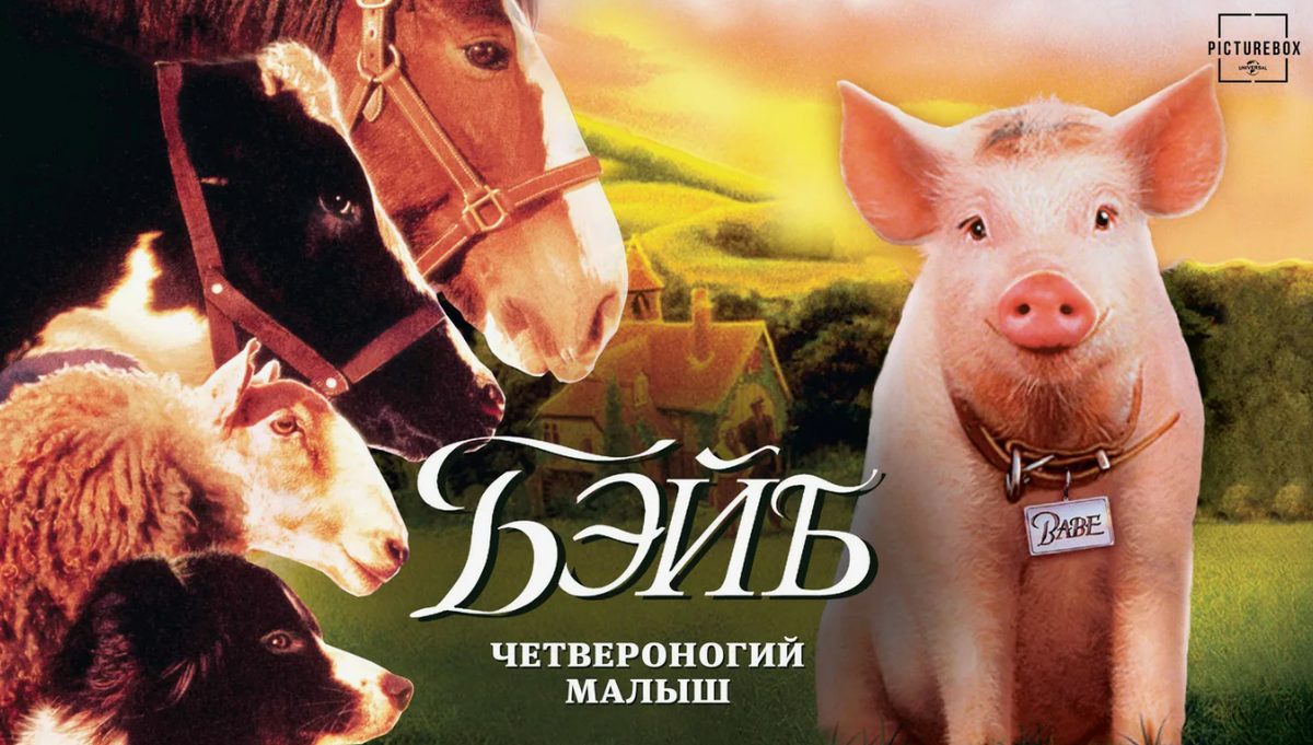 Бэйб — "Бэйб: Четвероногий малыш" (1995)