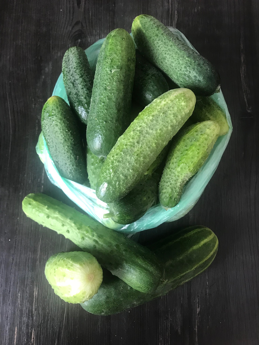 Огурцы каждый день.