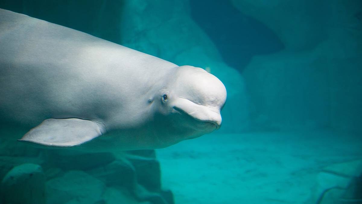    Фото: shutterstock