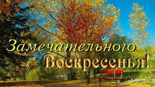 С ДОБРЫМ ОСЕННИМ УТРОМ! ЗАМЕЧАТЕЛЬНОГО ВОСКРЕСЕНЬЯ!