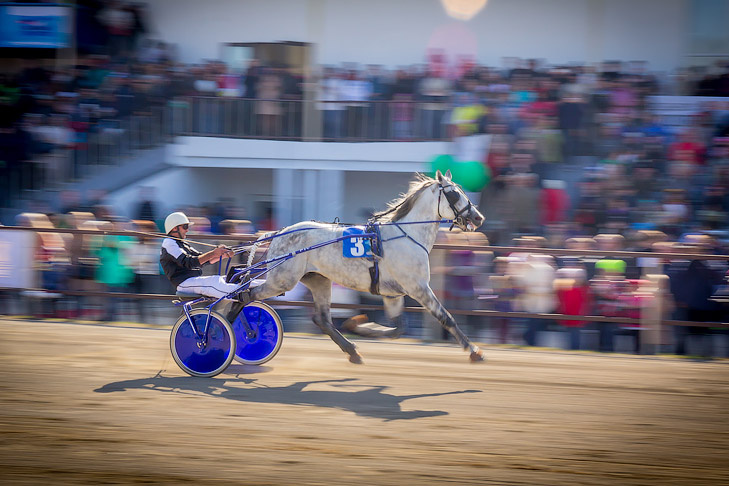    фото Андрея Заржецкого